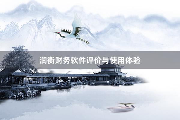 润衡财务软件评价与使用体验